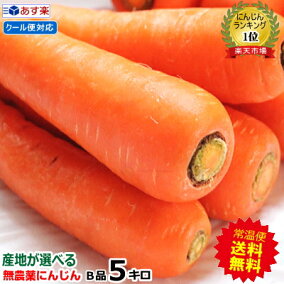 楽天市場 にんじん 人気ランキング1位 売れ筋商品 楽天市場 にんじん 人気ランキング1位 売れ筋商品
